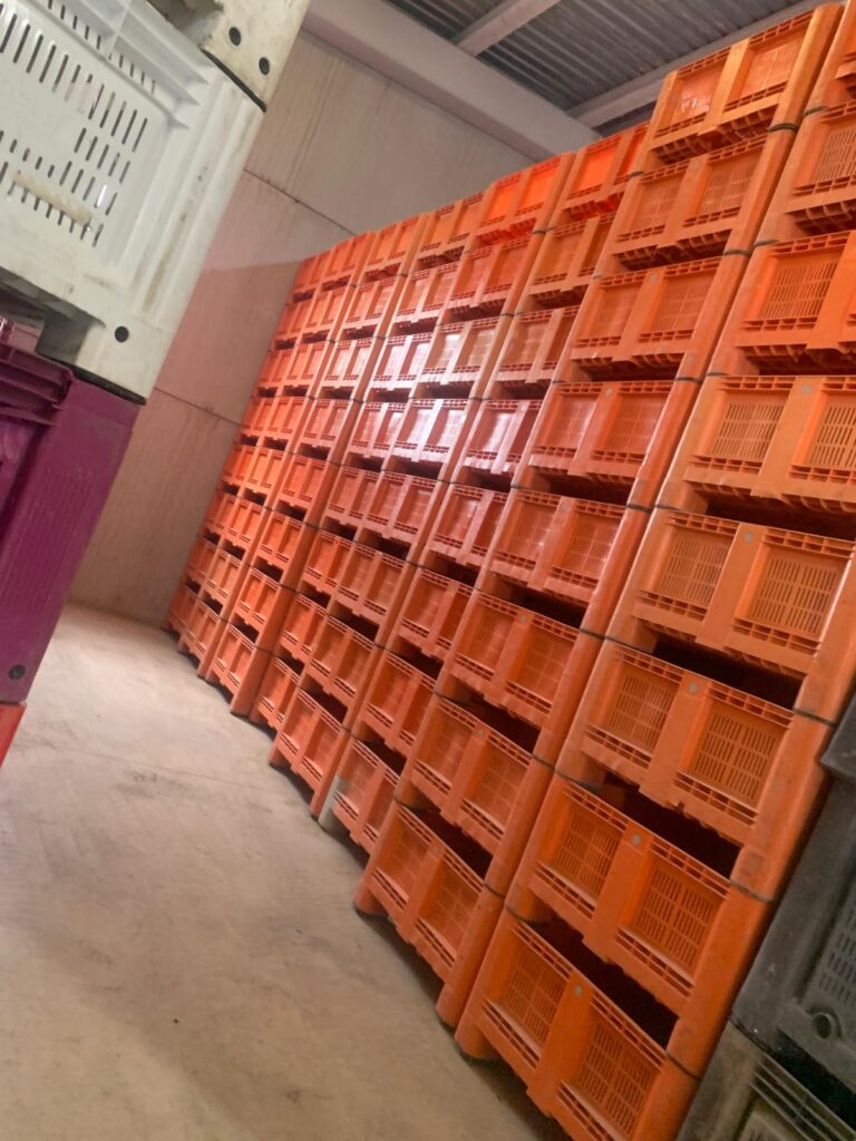 Servicio de reparación de envases agrícolas en Valencia
