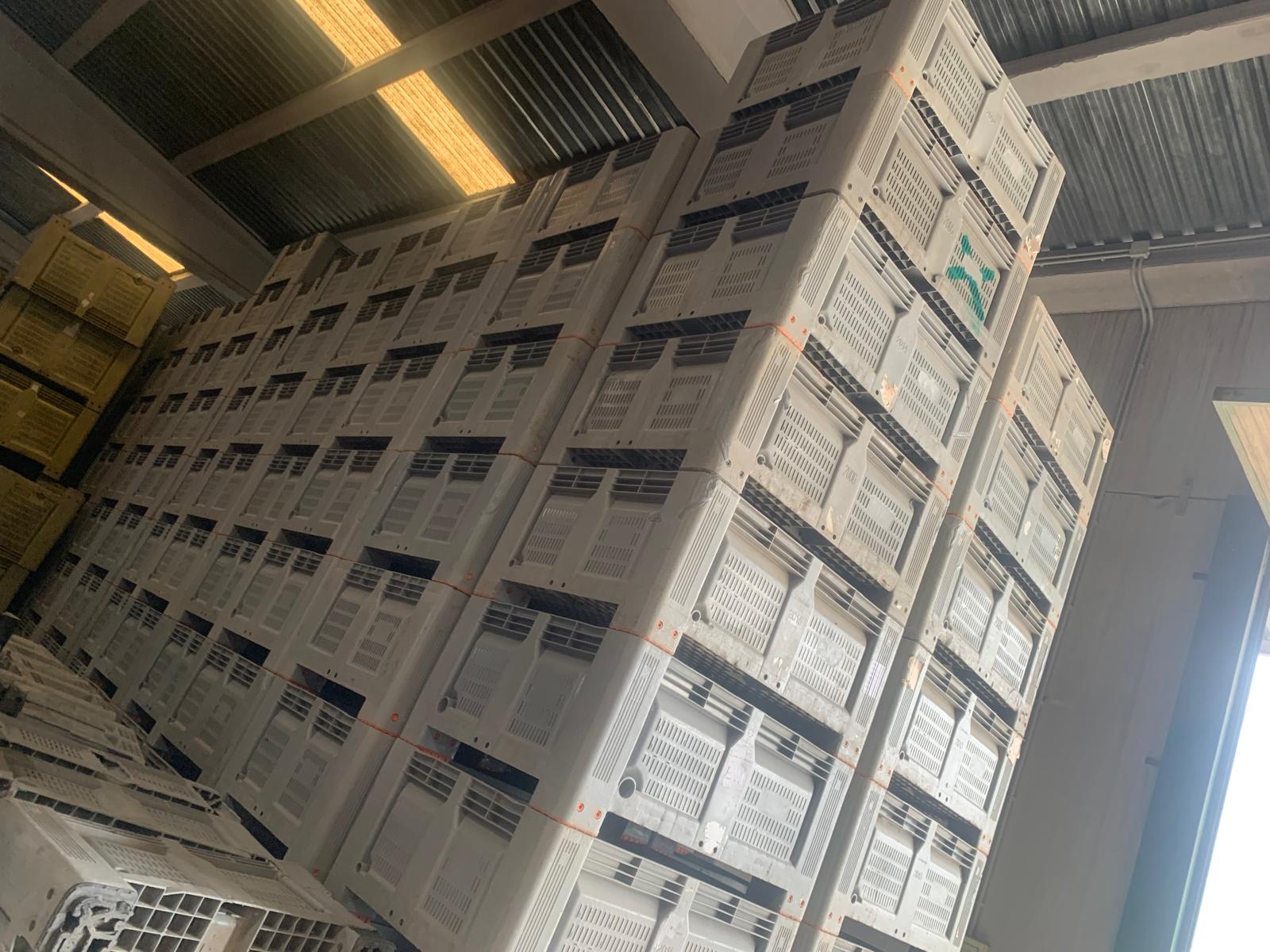 Compra y venta de palots de plástico de ocasión